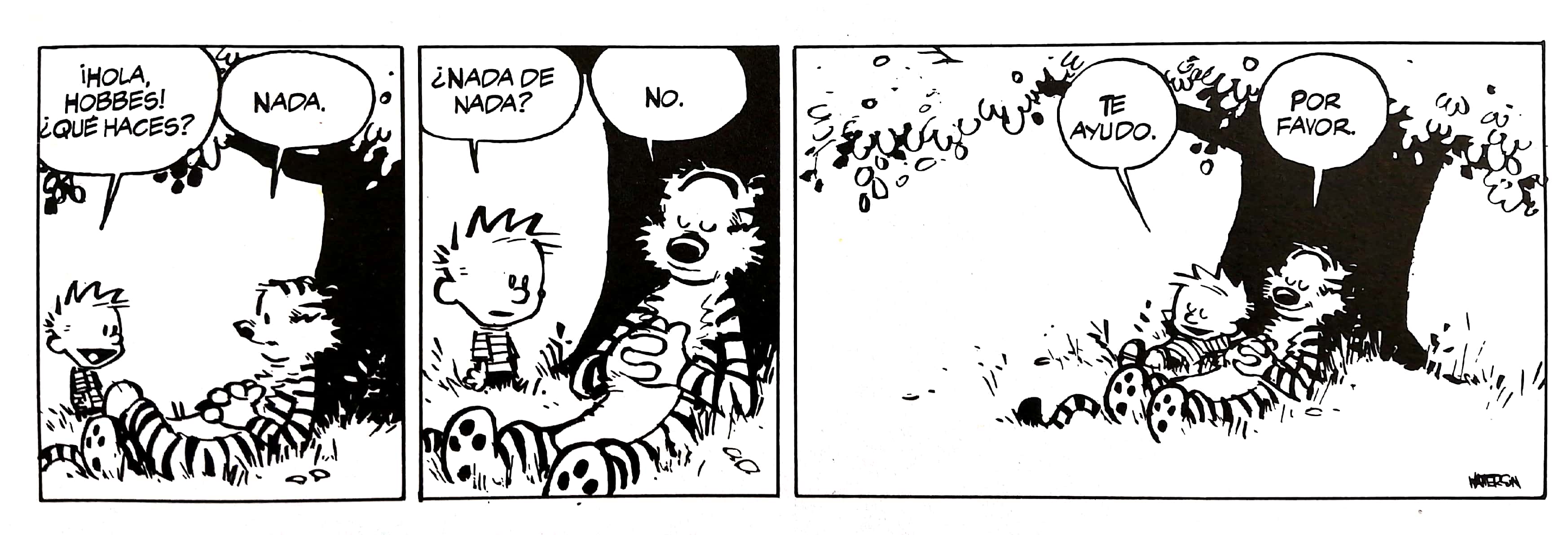 Calvin y Hobbes10. 